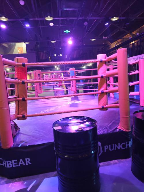 临安拳击健身俱乐部哪家强？-第1张图片-德高鼎泰便民中心