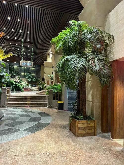 王朝圣地温泉酒店怎么预订？-第1张图片-德高鼎泰便民中心