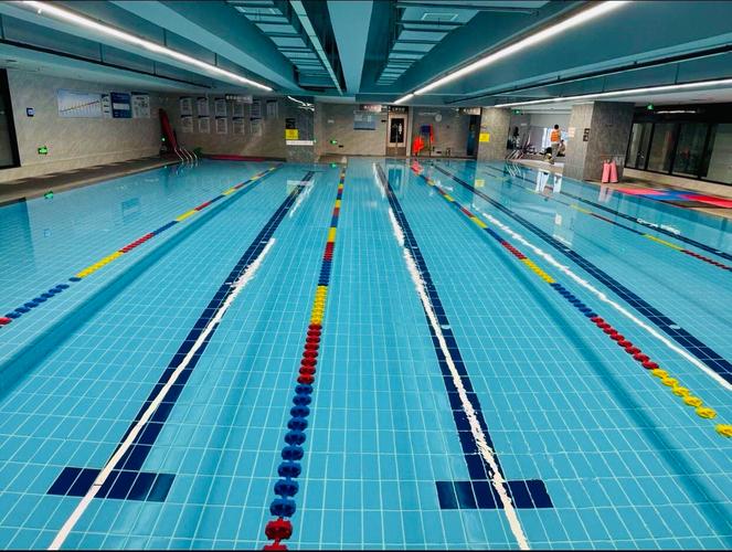 维克斯游泳健身会员有何权益或优惠？-第1张图片-德高鼎泰便民中心