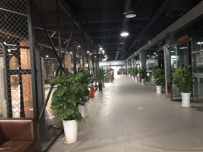 南京斯巴达健身会所-第3张图片-德高鼎泰便民中心