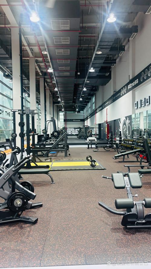 哈尔滨泰山健身会馆怎么样？-第2张图片-德高鼎泰便民中心