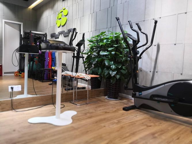 德国健身mymyo-第2张图片-德高鼎泰便民中心