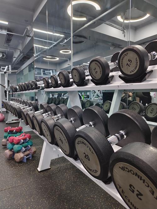 德国健身mymyo-第3张图片-德高鼎泰便民中心