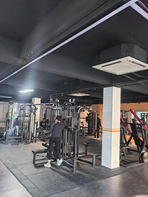 齐齐哈尔365健身，如何坚持365天？-第1张图片-德高鼎泰便民中心