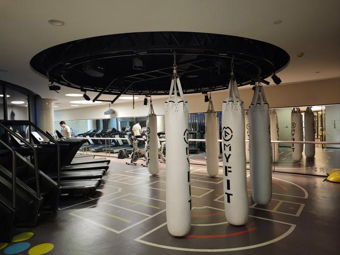 ALFA格斗健身，燃脂塑形效果如何？-第1张图片-德高鼎泰便民中心