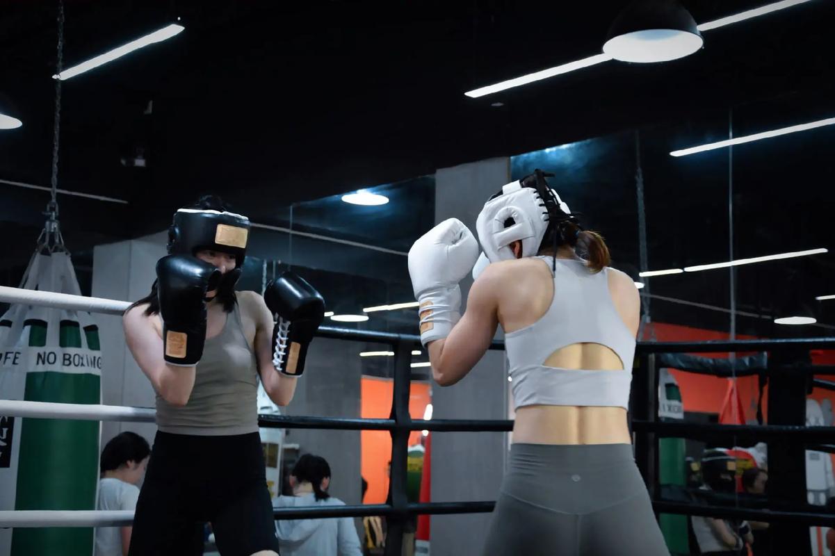 ALFA格斗健身，燃脂塑形效果如何？-第3张图片-德高鼎泰便民中心