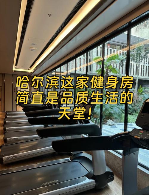 哈尔滨健身会馆，如何选到性价比高的？-第2张图片-德高鼎泰便民中心