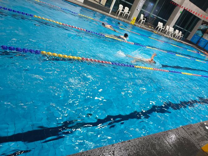 Speed游泳健身，效果如何？-第3张图片-德高鼎泰便民中心