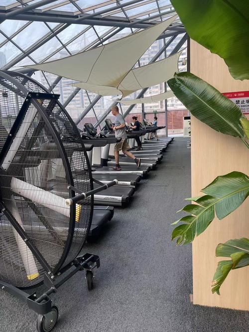 宝力豪健身体格健身-第1张图片-德高鼎泰便民中心