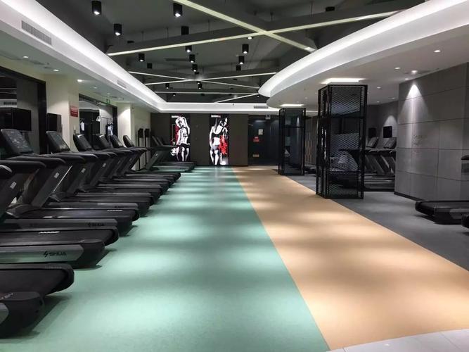 宝力豪健身体格健身-第2张图片-德高鼎泰便民中心