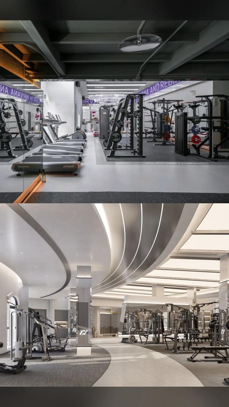 phoinex健身效果如何？-第2张图片-德高鼎泰便民中心