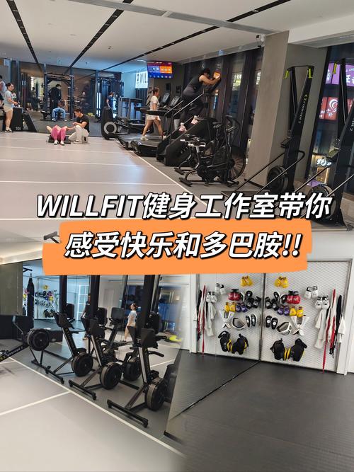 Fitwill健身效果如何？-第1张图片-德高鼎泰便民中心