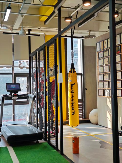 morefun健身，怎么练才更有趣？-第2张图片-德高鼎泰便民中心