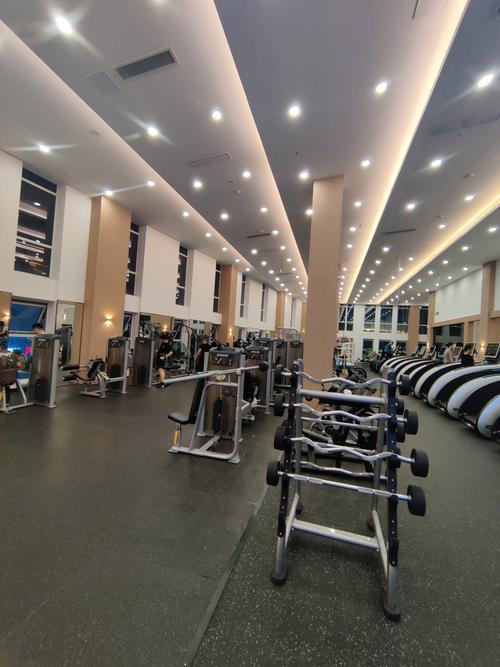 77健身国际健身房，专业健身如何选？-第2张图片-德高鼎泰便民中心