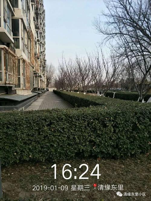 物业客服前台工作总结，如何提升服务效率与满意度？-第1张图片-德高鼎泰便民中心