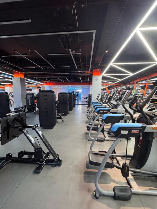 洛阳老城区健身房哪家好？-第2张图片-德高鼎泰便民中心