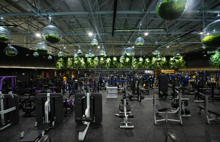 红星美凯龙为何跨界开健身房？-第2张图片-德高鼎泰便民中心