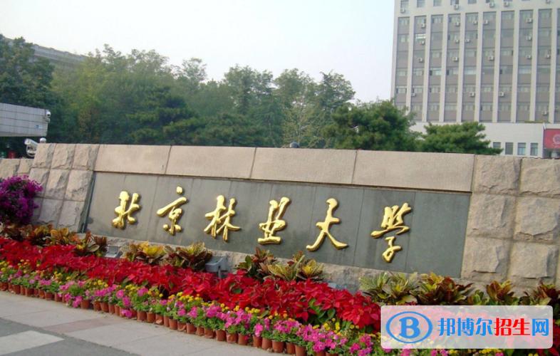 哪些大学开设物业管理专业？-第1张图片-德高鼎泰便民中心