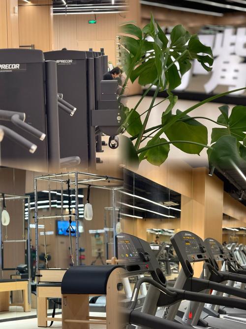 佛山百花广场健身房怎么样？-第3张图片-德高鼎泰便民中心