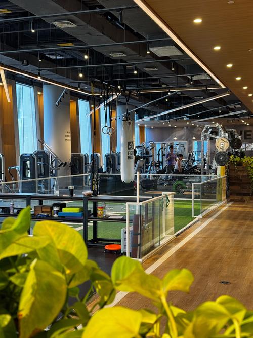 长春绿园区健身房哪家好？-第2张图片-德高鼎泰便民中心