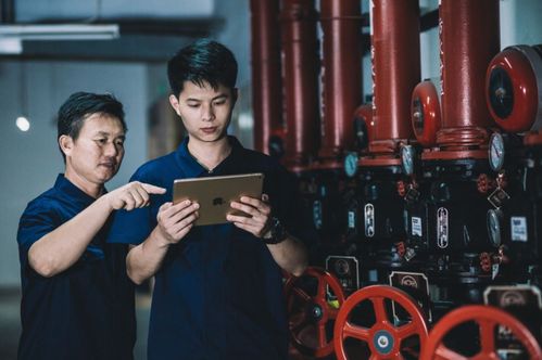 中海物业总部投诉电话是多少？-第3张图片-德高鼎泰便民中心