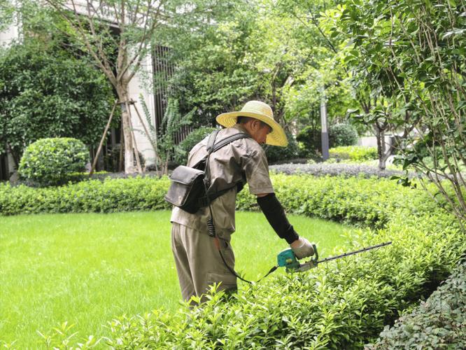 物业为何擅自给业主家除草？-第1张图片-德高鼎泰便民中心