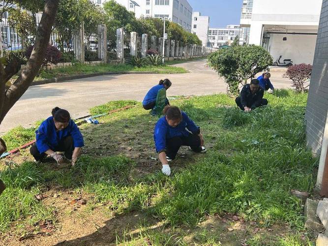 物业为何擅自给业主家除草？-第2张图片-德高鼎泰便民中心