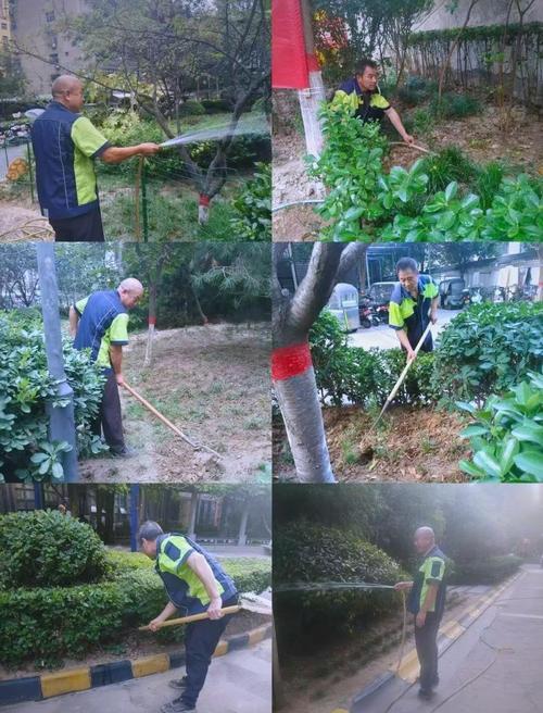 物业为何擅自给业主家除草？-第3张图片-德高鼎泰便民中心