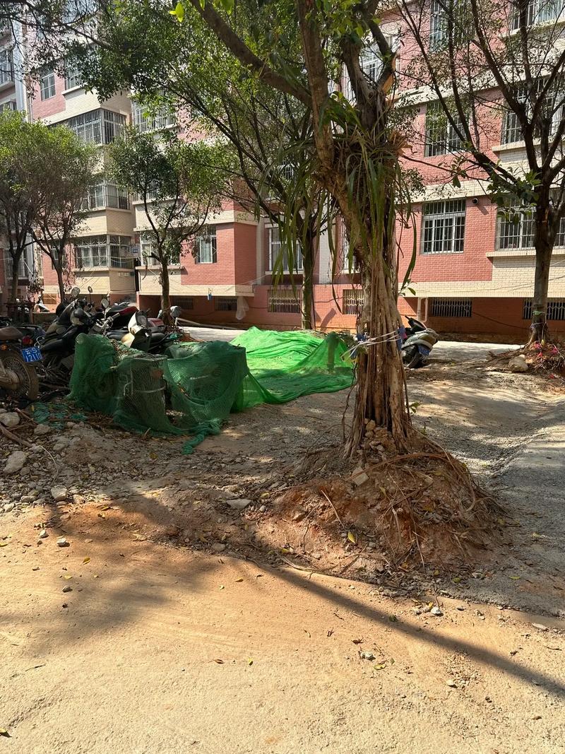 老旧小区改造，物业如何作为？-第3张图片-德高鼎泰便民中心