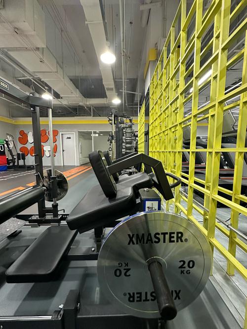 保定哪家健身房比较好？-第1张图片-德高鼎泰便民中心