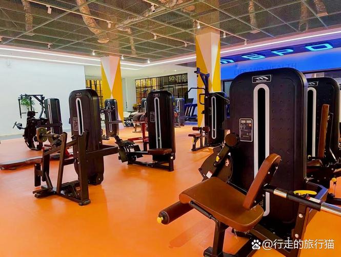 保定哪家健身房比较好？-第2张图片-德高鼎泰便民中心