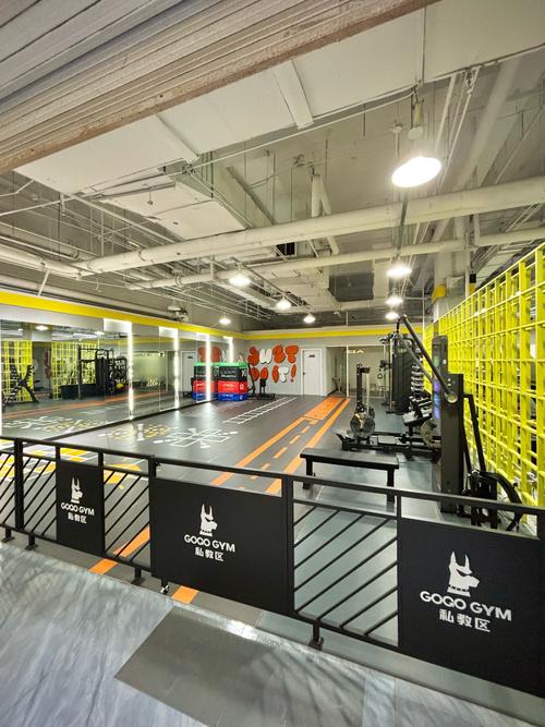 保定哪家健身房比较好？-第3张图片-德高鼎泰便民中心