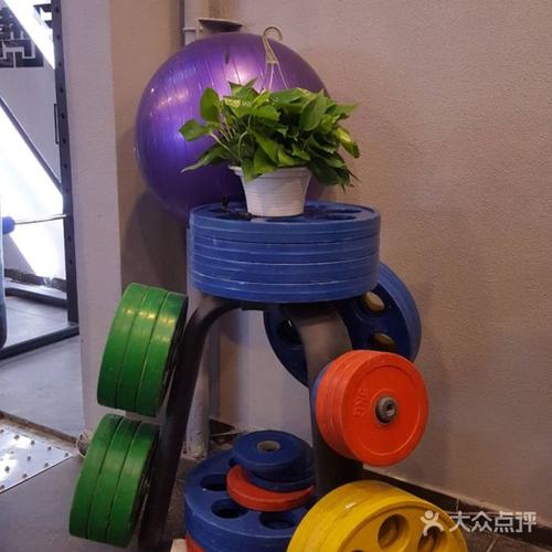 菲尼克斯健身工作室有何特色？-第2张图片-德高鼎泰便民中心